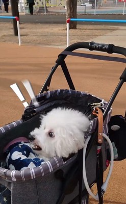 ミルクくんのナイスリアクション4