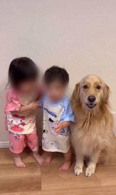 大型犬と子供たち