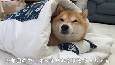眠くなってきた…