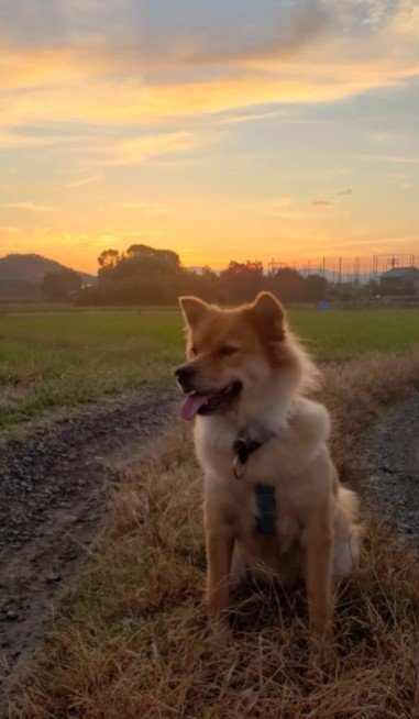 これからも幸せでいてね