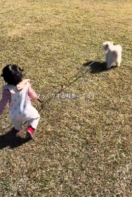 もち君と赤ちゃんのお散歩3
