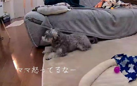 ママは怒りながらトイレ掃除