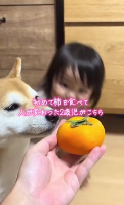 きなこちゃんもやってきた