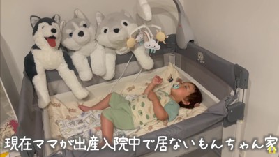 ママが出産のため入院