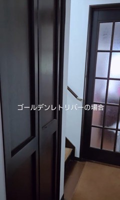 クーちゃんとルナちゃんの反応