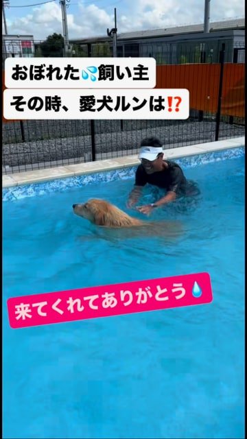 飼い主さんを引き連れて泳ぐ犬