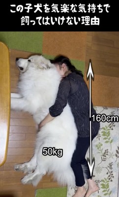 愛されすぎてる