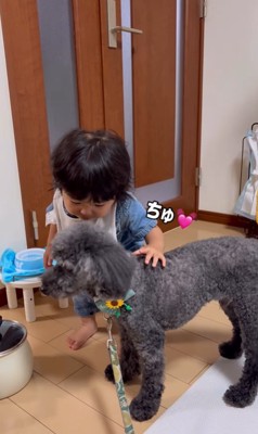 りつ君と実家のワンコ8