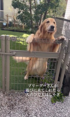 そら君とブリーダーさんの再会2