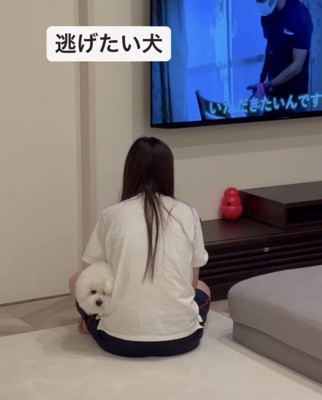 ヘッドロックされる犬1