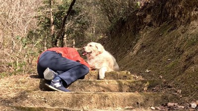 寄り添い続けるメイちゃん