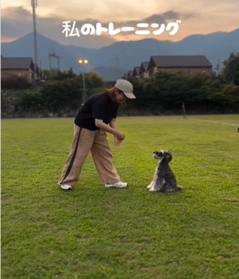 ママと犬