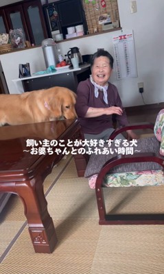 ひまわりちゃんとおばあちゃん