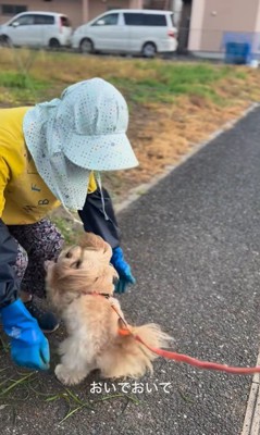 お隣のおばちゃんを発見したちゃちゃ君3