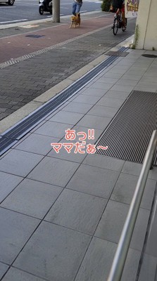 女性に向かって走る犬