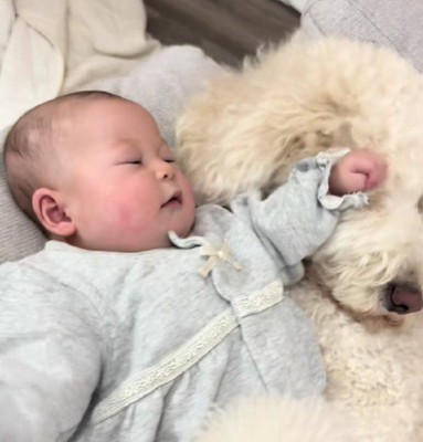 甲斐甲斐しくお世話する