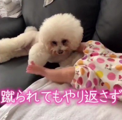 蹴られても…