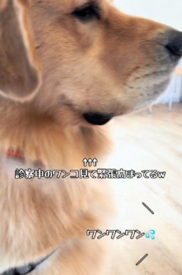 一気に真剣に…