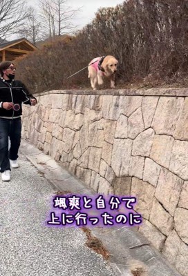 そのまま高いところをトコトコ♪