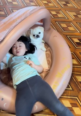 テントの中でくつろぐ犬と成長した女の子