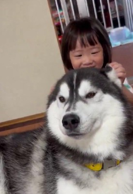 娘さんも思わずケラケラ