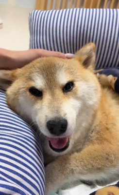 「みんな本当にありがとう」