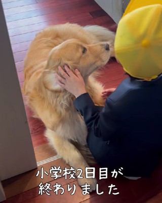 ぎゅっと抱きしめた