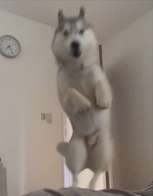 スーパージャンプ