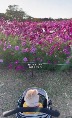 おでかけって楽しい