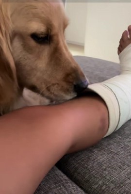 「ん？隙間がある…」