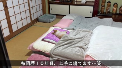 まるで人間みたいな寝姿♡