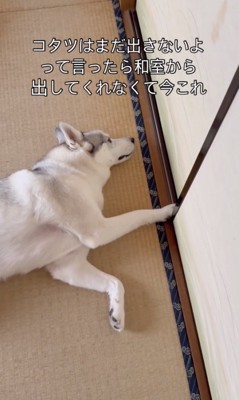 ささやかすぎる抵抗