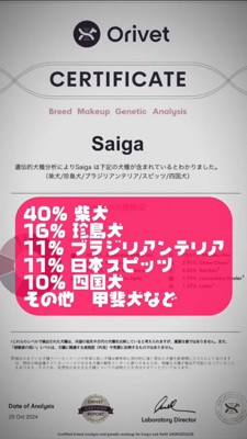 犬の遺伝子検査結果のデータ