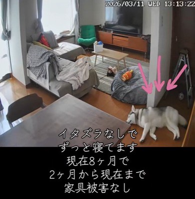 最近はいい子で待てるように♪