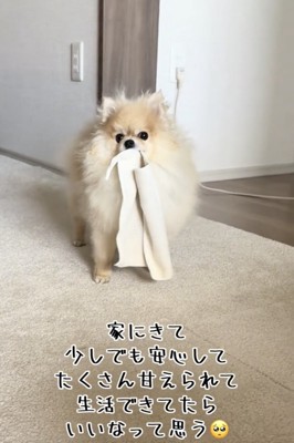 のびのびと暮らしてます