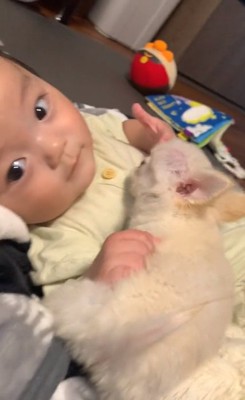 赤ちゃんにくっつくもこちゃん