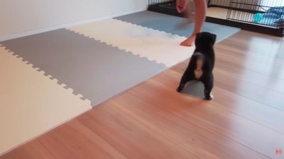 あっという間に仲良くなりそう!