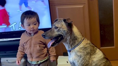 パパが戻ってきた時のりゅうさん4