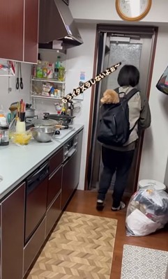 去っていくバッキーくん