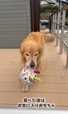 お手伝いをするホット君8