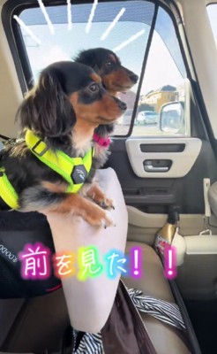 今では楽しみで仕方ない♡