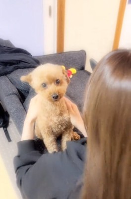 カメラ目線のふうたくん