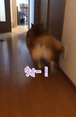 去っていく福くん