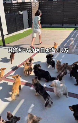 休日の過ごし方