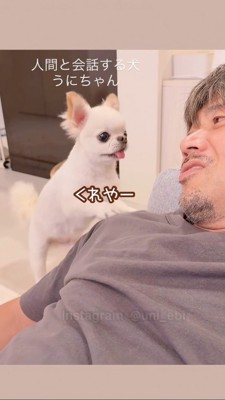おしゃべりでエサを催促する犬