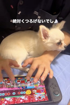 まったりとした表情