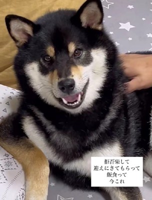 ペロリと舌なめずり