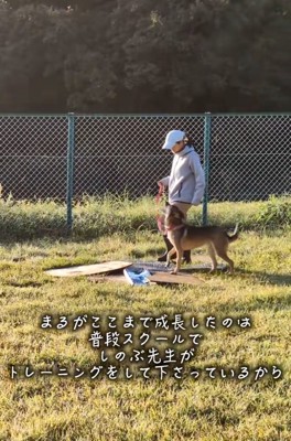 トレーニングするまる君