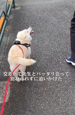 獣医さんと遭遇！