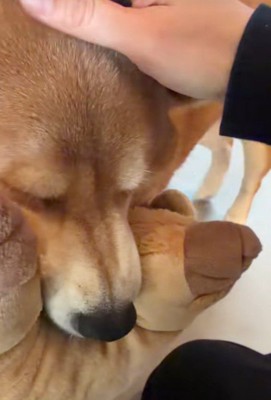 「寂しかったよ～」